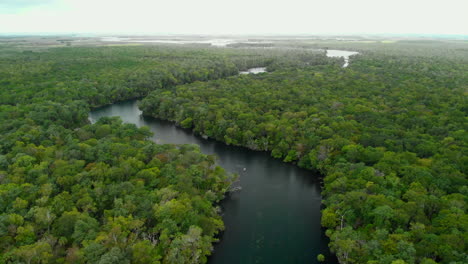 Cinematic-aerial-footage-of-a-winding-river-cutting-through-a-vast-tropical-forest,-dolly-in-shot