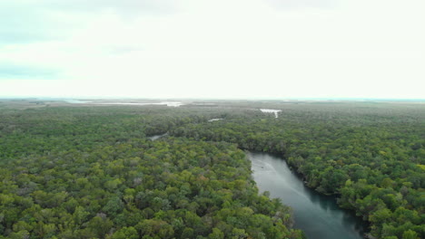 Aerial-footage-of-a-drone-descending-over-a-winding-river-in-between-a-vast-tropical-forest