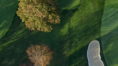 Top-down-aerial-of-golf-course-fairway-and-green-in-autumn,-colorful-fall-trees,-drone-shot