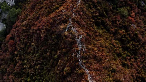 Autumn-forest-tree-colours-on-mountainside-ridge,-aerial-birds-eye-view-pan