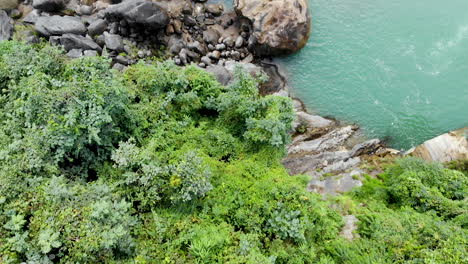 Aerial-footage-of-river-bank-covered-with-overgrown-lush-green-plants-and-rocks-in-the-mountains