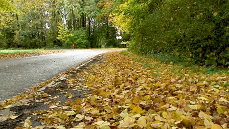 Blätter-Im-Herbst-Auf-Einem-Bürgersteig-Zu-Beginn-Des-Herbstes-In-Rutland,-Großbritannien
