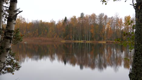 Static-handheld-shot-of-rainy-autumn-ruska-around-calm-lake-in-Finland