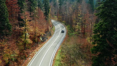 Aerial-follow-shot-of-a-car-on-a-winding-mountain-road-through-fall-colors