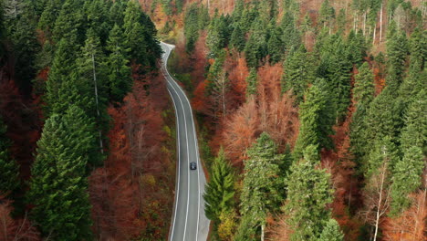 Luftaufnahme-Der-Wechselnden-Herbstfarben-In-Der-Kroatischen-Landschaft