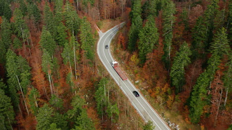 Cars-and-a-big-rig-driving-along-winding-roads-in-beautiful-fall-color-forest