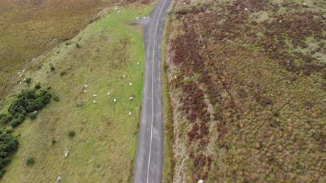 A-top-down-revealing-shot-of-a-road-to-a-lake-in-Ireland