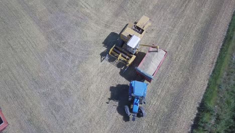 Combine-Harvester-Unloading-Grain,tractor-trailer-carriage,-aerial-top-down-view