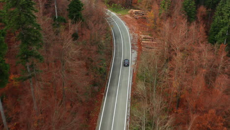 Overhead-aerial-shot-following-a-car-through-a-forest-full-of-fall-colors
