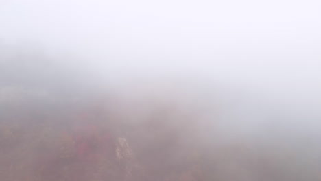 Autumnal-forest-covered-in-thick-fog-and-mist,-aerial-nature-landscape