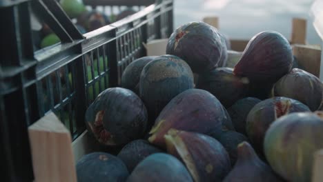 Close-up-detail-shot-of-ripe-purple-figs-in-crate-at-street-market