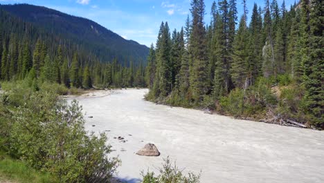 POV-White-river-from-Takakkaw-Water-Falls-in-Banff-national-park,-Alberta,Canada--Summer-river-from-rockie-mountain-among-pine-tree-forest