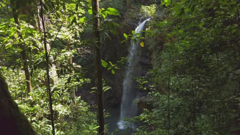 En-Lo-Profundo-De-La-Selva-Tropical,-Una-Cascada-Aislada-Fluye-Desde-El-Río-Marianne-En-La-Isla-Caribeña-De-Trinidad
