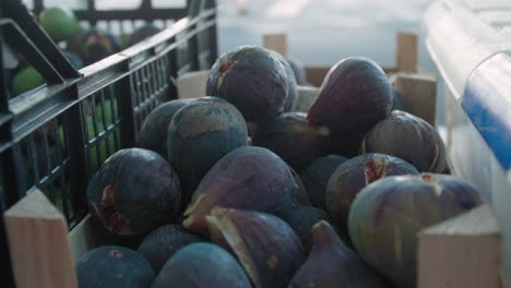 Purple-figs-stacked-in-crate,-Closeup-Detail-Shot