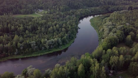 Flying-over-curvy-river-between-dense-forests