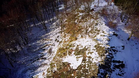 Drone-flight-above-a-volcanic-rock-between-trees