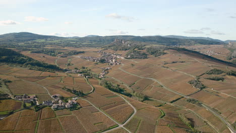Vista-Aérea-De-Los-Viñedos-De-Borgoña-Cerca-De-Macon-En-Otoño