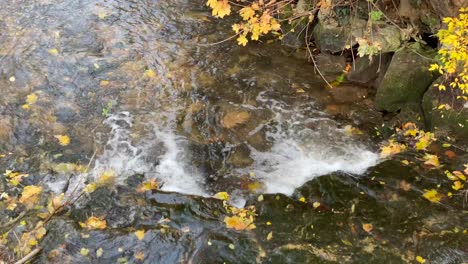 small-brook-with-crystal-clear-water-in-autumn-and-a-small-rapids,-looks-as-if-it-foams,-view-from-above