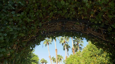 Tilt-shot-under-a-garden-gate,-revealing-palm-trees,-in-a-park,-on-a-sunny-day,-in-California,-USA