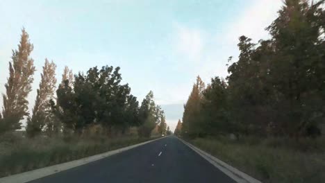 Tall-trees-line-the-road-in-this-time-lapse-drive