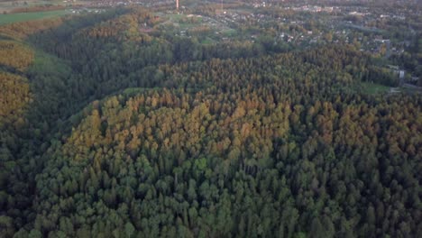 Aerial-tilt-up-shot-dense-forest-in-valley,-with-cityscape-showing-in-distance
