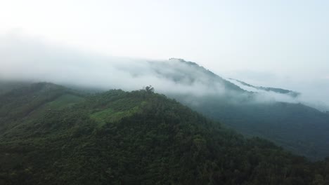 Wildnis-Und-Natürliche-Schönheit-Von-Laos-Asien-Am-Düsteren-Morgen
