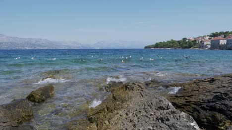 Gaviotas-Nadando-En-El-Mar-En-Calma-En-Un-Caluroso-Día-De-Verano
