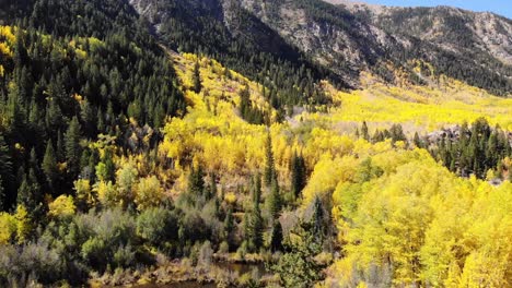 Aerial-View-of-fall-colors-near-Independence-Pass,-Vail-Colorado