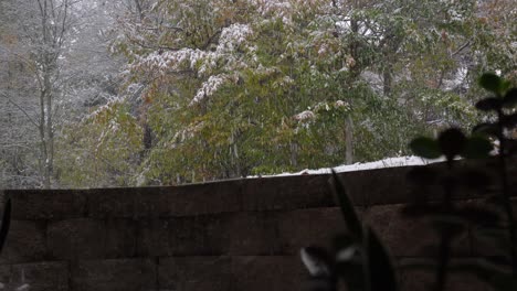 First-snowfall-of-the-year-lightly-falling-over-pine-trees-as-seen-from-a-basement-window