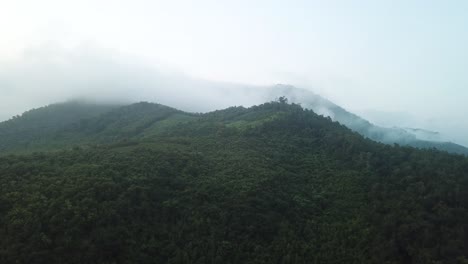 Düstere-Morgenwolken-über-Dichter-Dschungelluft