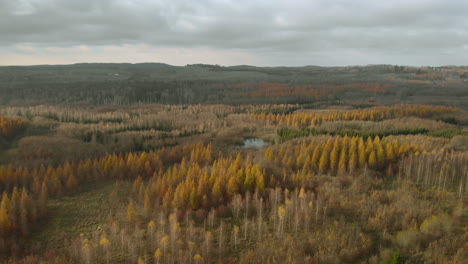 Small-lake-in-the-middle-of-the-forest,-colourful-trees-in-the-autumn,-aerial-footage-over-nature-landscape