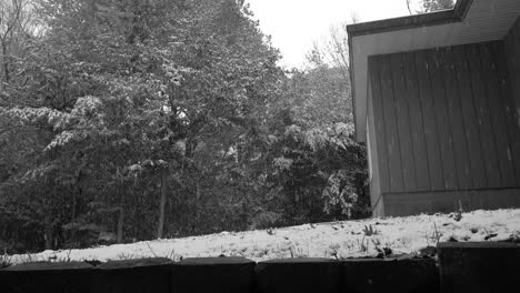 Schwarz-Weiß-Blick-Auf-Den-Schneefall-In-Einem-Vorort-Von-Michigan