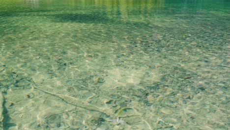 Surface-of-green-water-ripple-background,-rock-and-sand-under-clear-water