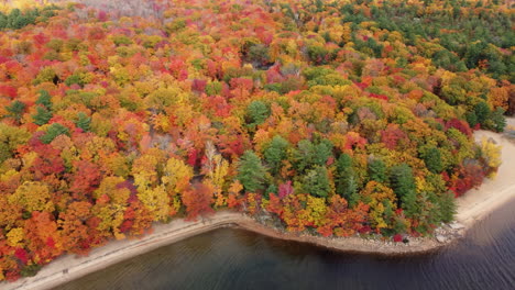 Exquisite-breathtaking-top-view-of-the-Fall-colors-in-the-Forests-of-Provincial-park,-Autumn-Season-Canada