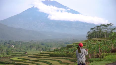 Zeitlupenaufnahme-Eines-Bauern,-Der-Zum-Reisfeld-Geht,-Mit-Wunderschönem-Blick-Auf-Die-Berge-In-Indonesien