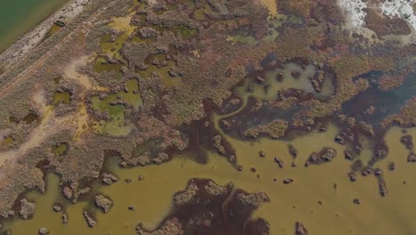 Aerial-overhead-drone-footage-of-Axios-river-in-Thessaloniki,Greece-of-a-river-delta-leading-to-meditteranen-sea-and-creating-a-swamp-like-footprint