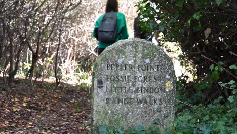 People-walk-by-a-tombstone-in-a-forest-in-the-south-of-England