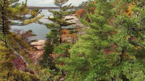 Pine-Trees-And-Rocky-Shoreline-Of-Killbear-Provincial-Park-In-Autumn-In-Ontario,-Canada