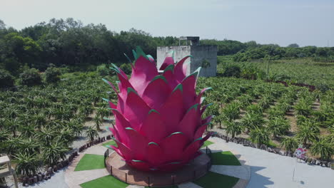 Luftdrohnenansicht-Einer-Drachenfruchtplantage-In-Bagan-Lalang,-Malaysia