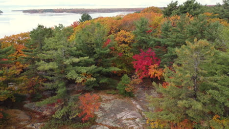 Drohne-Bewegt-Sich-über-Den-Wunderschönen-Herbstfarbenwald-Im-Provinzpark-In-Richtung-Der-Bucht,-Saison-Ontario-Kanada