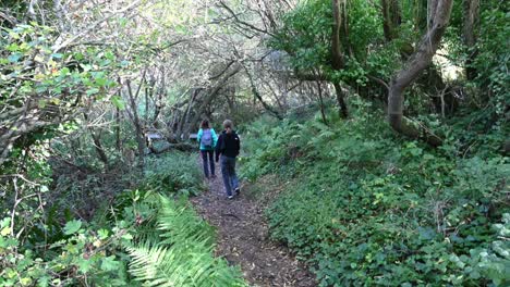Un-Joven-Camina-En-Un-Bosque-Por-Un-Camino-De-Tierra,-Al-Sur-De-Inglaterra,-Dorset