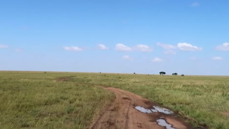 Exploration-shot-driving-through-the-African-savannah,.Serengeti,-Tz