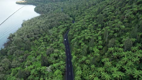 aerial-flying-along-the-road-following-a-car-along-a-native-fern-rain-forest-next-to-blue-lake-with-a-boat-and-water-skier-in-Rotorua-New-Zealand