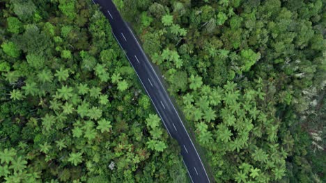 Aerial-top-down-of-ferns-and-road-flyby-in-Rotorua-New-Zealand