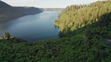 Aerial-drone-footage-flying-over-ferns-and-native-bush-towards-Blue-Lake-in-Rotorua-New-Zealand