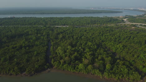 Vista-De-Drones-Del-Río-Bagan-Lalang-Y-árboles-Densos,-Malasia