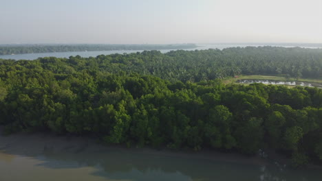 Aerial-drone-View-of-Bagan-Lalang-river-and-dense-trees,-Malaysia