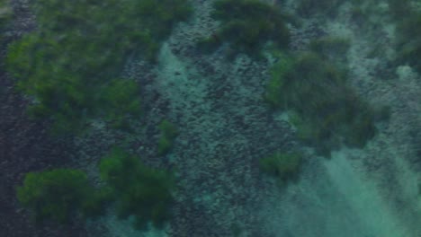 Aerial-view-of-Carlsbad-reef-in-4k