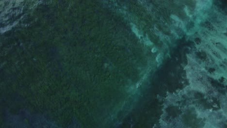 Luftaufnahme-Des-Terramar-Riffs
