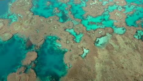 Colorful-coral-colonies-under-the-turquoise-tropical-ocean-waters---turning-aerial-view